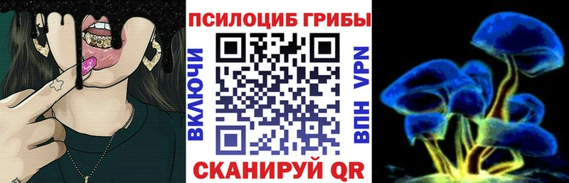 Галлюциногенные грибы Magic Shrooms  blacksprut зеркало  Гуково 
